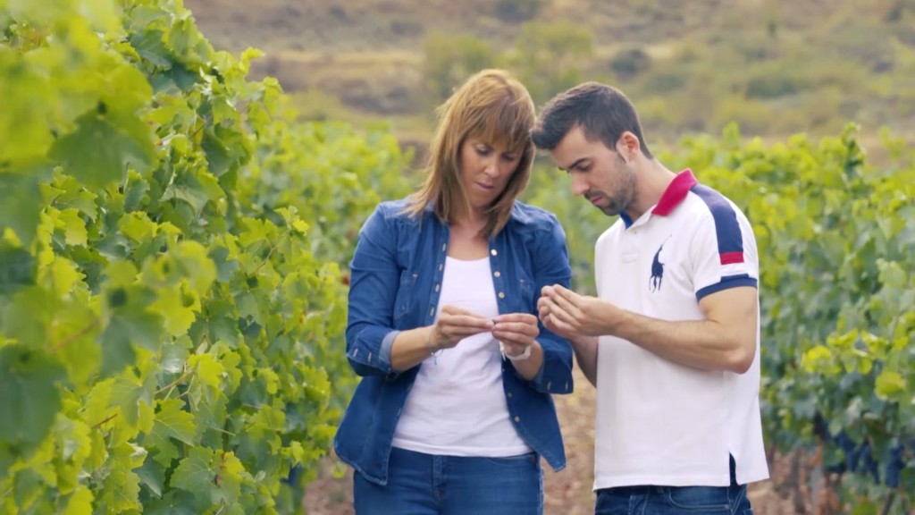 Enoturismo Pedro y Pilar Torrecilla en el viñedo de bodegas Martínez Alesanco