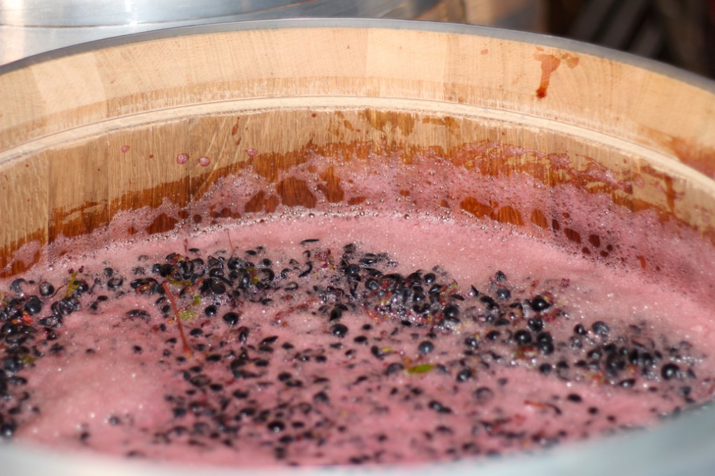Elaboracion-Maturana-Bodegas-Martinez-Alesanco-