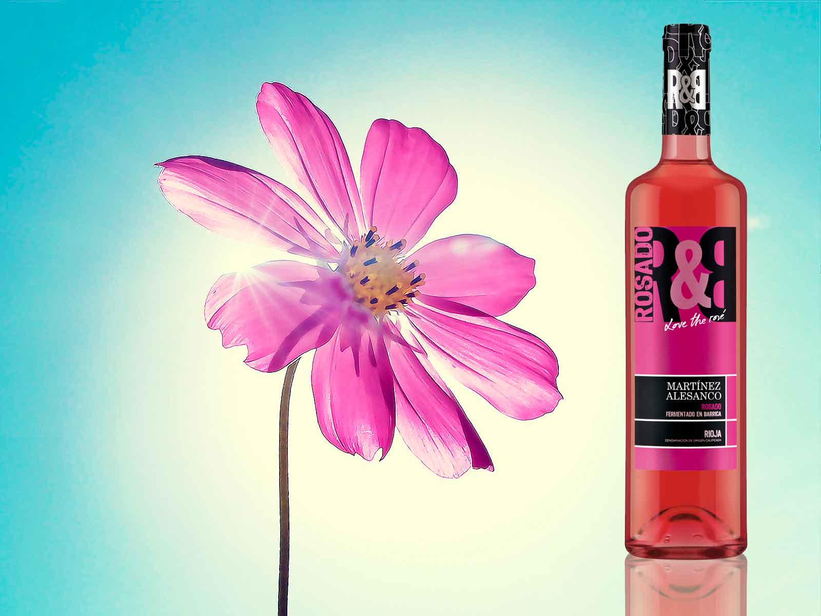 R&B Rosado Fermentado en barrica Martínez Alesanco