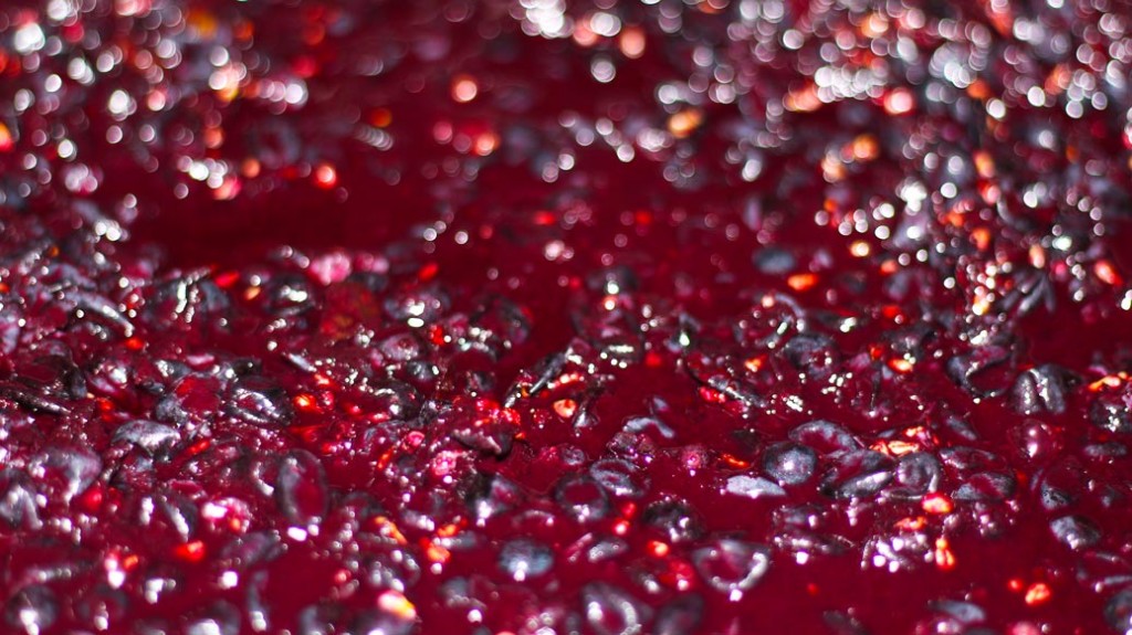 primer plano de uva maturana fermentando en barrica rioja Martinez Alesanco