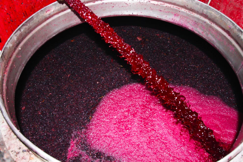 fermentacion uva tempranillo de rioja en bodegas Martínez Alesanco