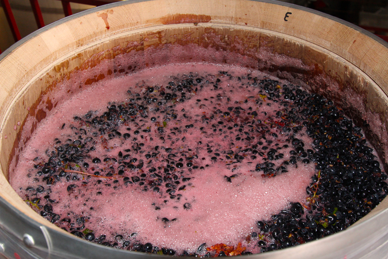 mosto-maturana-tinta-fermentando-en-barrica-martinez-alesanco