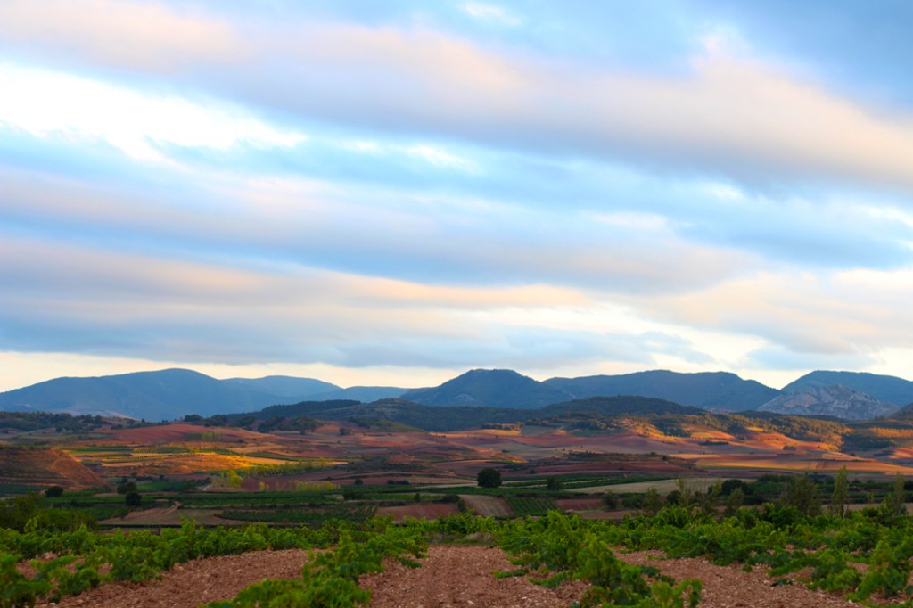 paisaje badaran