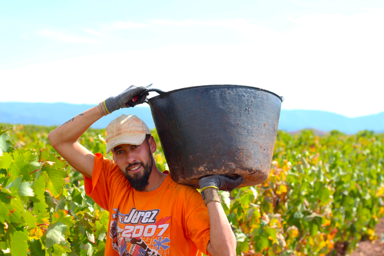 vendimiador-la-rioja-martinez-alesanco