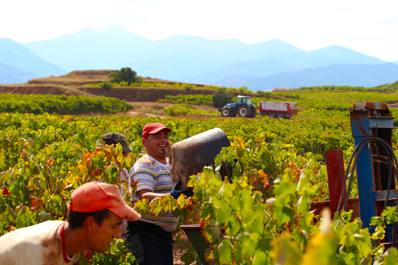 vendimiadores-la-rioja-martinez-alesanco-tempranillo