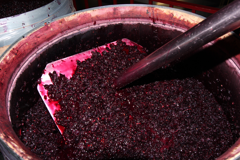 vino-maturana-tinta-fermentando-en-barrica-bazuqueo-martinez-alesanco