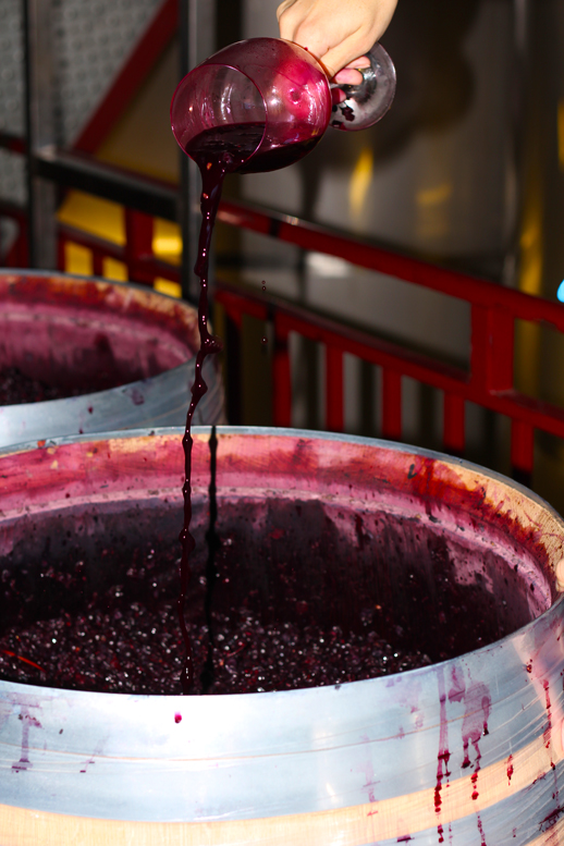 vino-maturana-tinta-martinez-alesanco-rioja